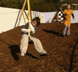 Ambitious About Autism