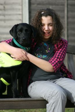 Dogs For The Disabled