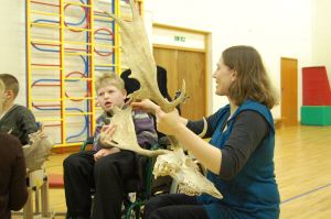 The Green Light Trust